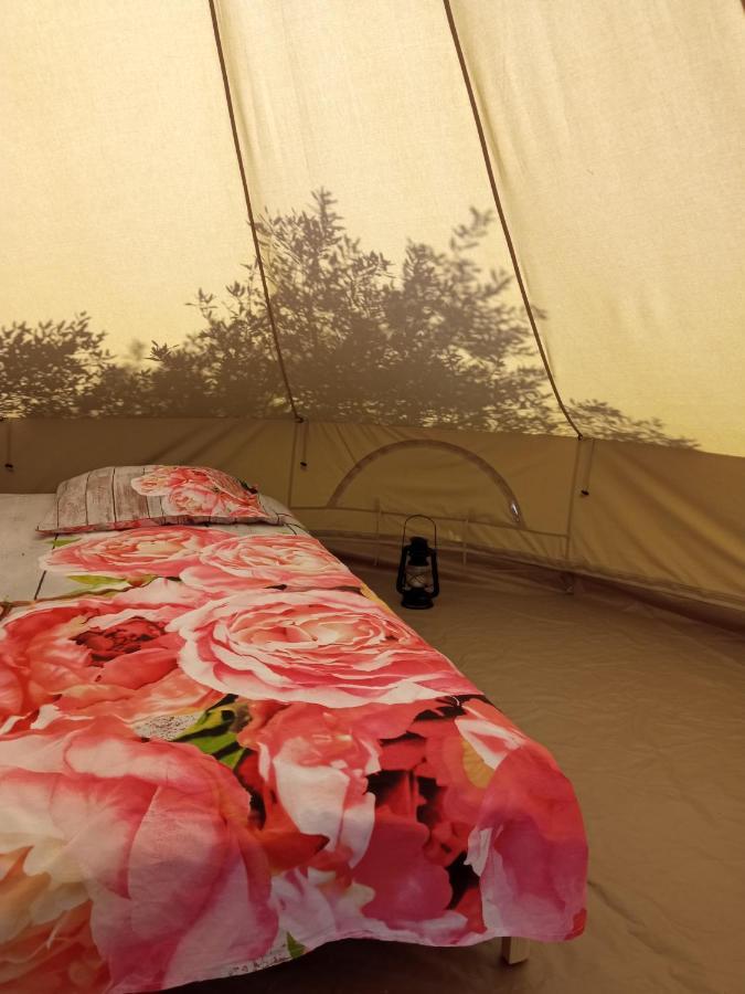 Mini kamp Perla Hotel Prvic Luka Bagian luar foto