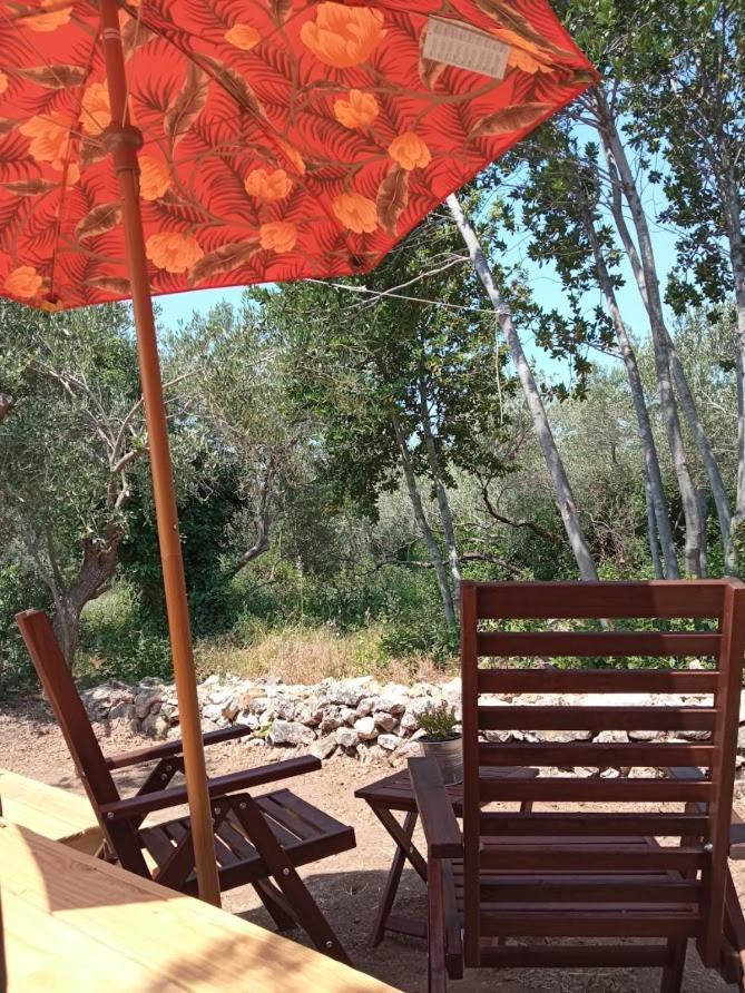 Mini kamp Perla Hotel Prvic Luka Bagian luar foto