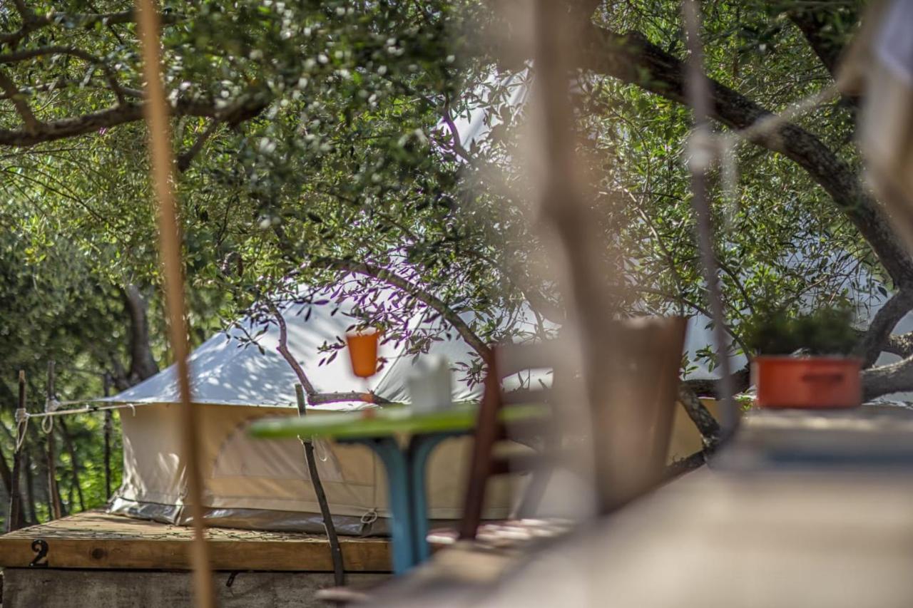 Mini kamp Perla Hotel Prvic Luka Bagian luar foto